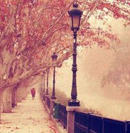 告别浏览器拦截,八妹柔术网站安卓版诞生!