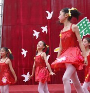 经典的花园路小学的小女孩表演白袜舞蹈！神一样的经典！【18P】