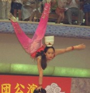 精彩的中国杂技美女,表演给你看!【8P】