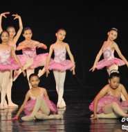 舞蹈图片:敦煌舞蹈班-夏之舞漾!犹如出水芙蓉! 【30P】