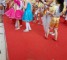 出售套图：八妹柔术独家高清拍摄表演的小萝莉童模，真是人中龙凤！【83P】